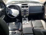 Ford Escape 2011