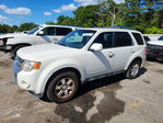 Ford Escape 2011