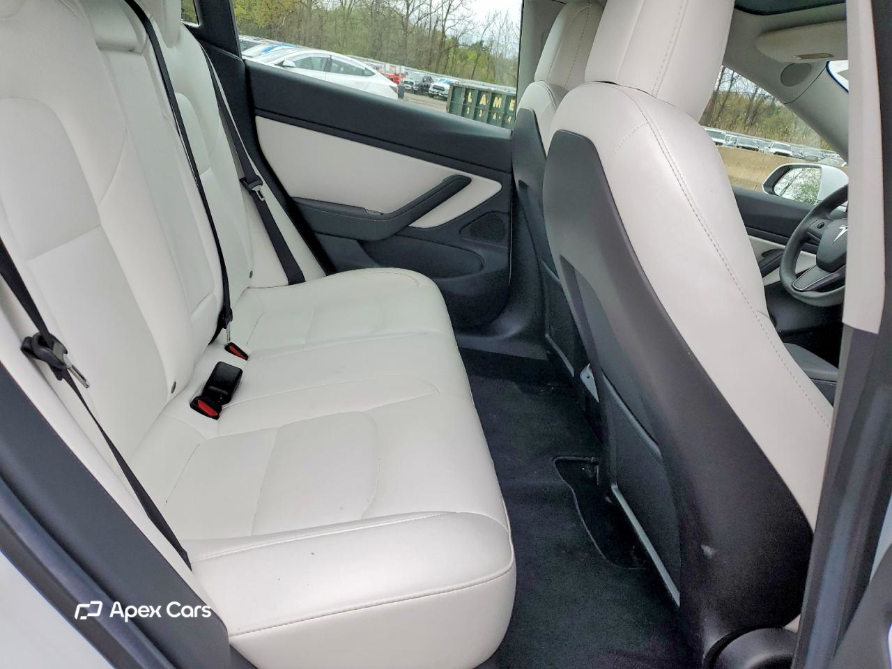 Tesla Model 3 2019