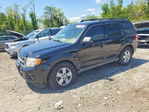 Ford Escape 2012