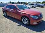 Lexus LS 2008