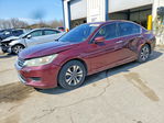 Honda Accord 2013