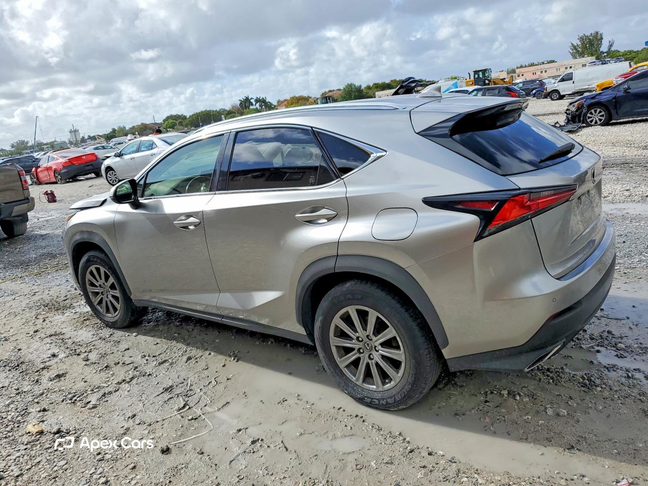 Lexus NX 2019