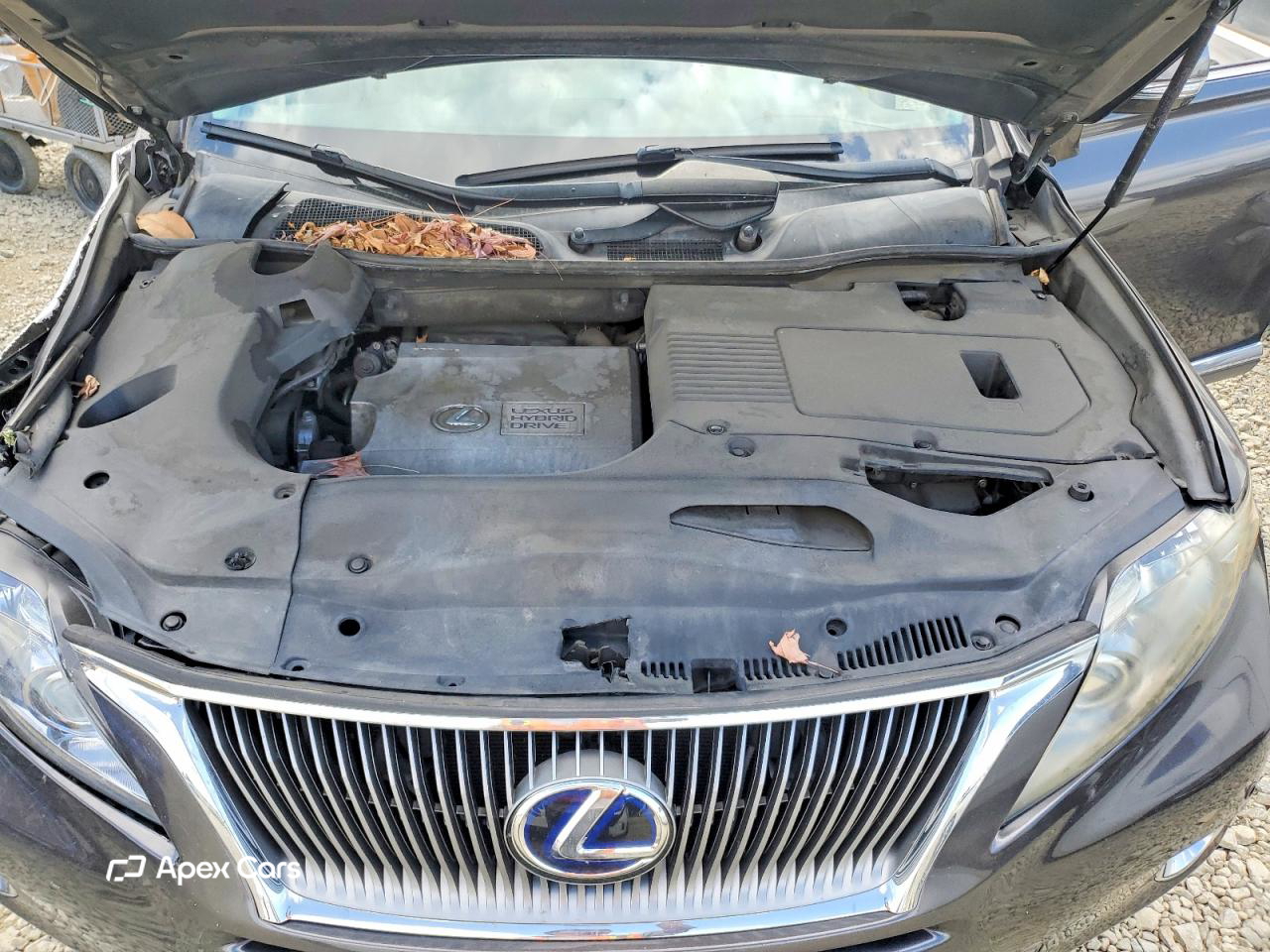 Lexus RX 2010