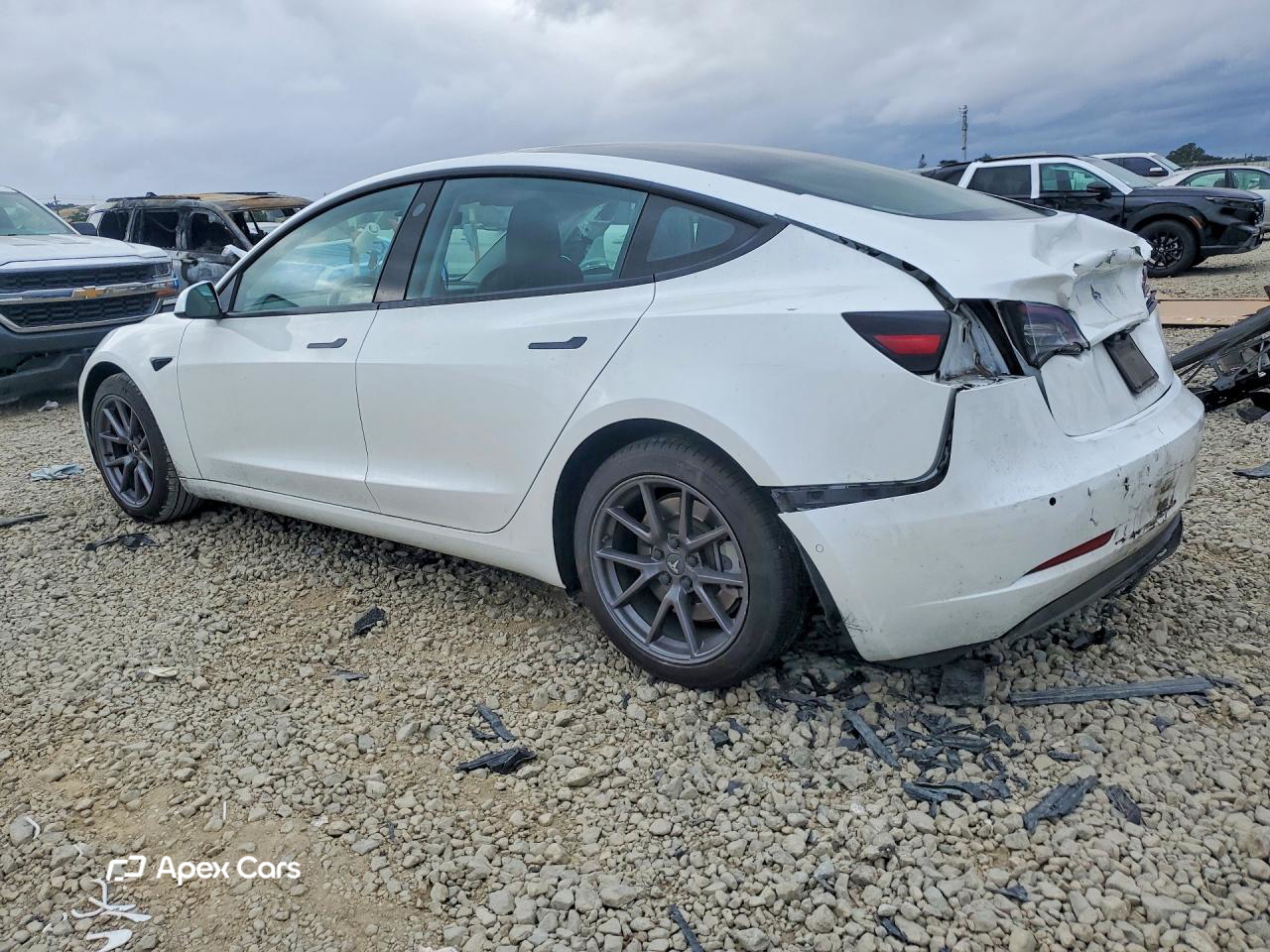 Tesla Model 3 2021