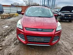 Ford Escape 2013