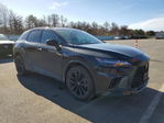 Lexus RX 2024