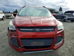 Ford Escape 2014