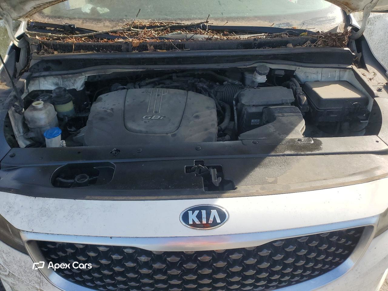 Kia Sedona 2015