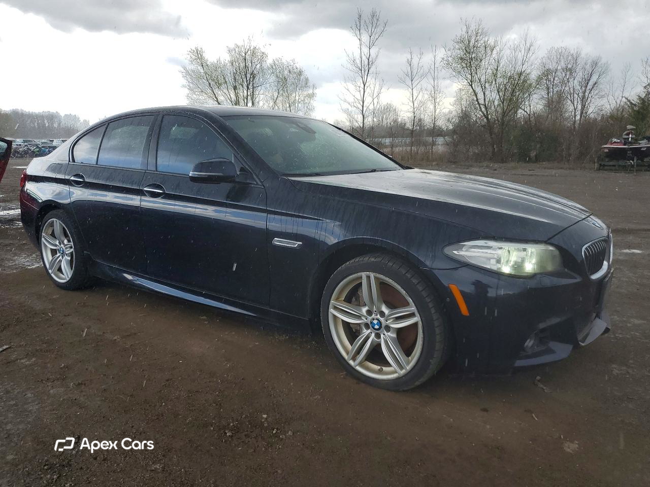 BMW Series 5 2014