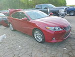 Lexus ES 2014