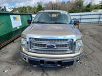 Ford F-150 2013