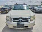 Ford Escape 2008