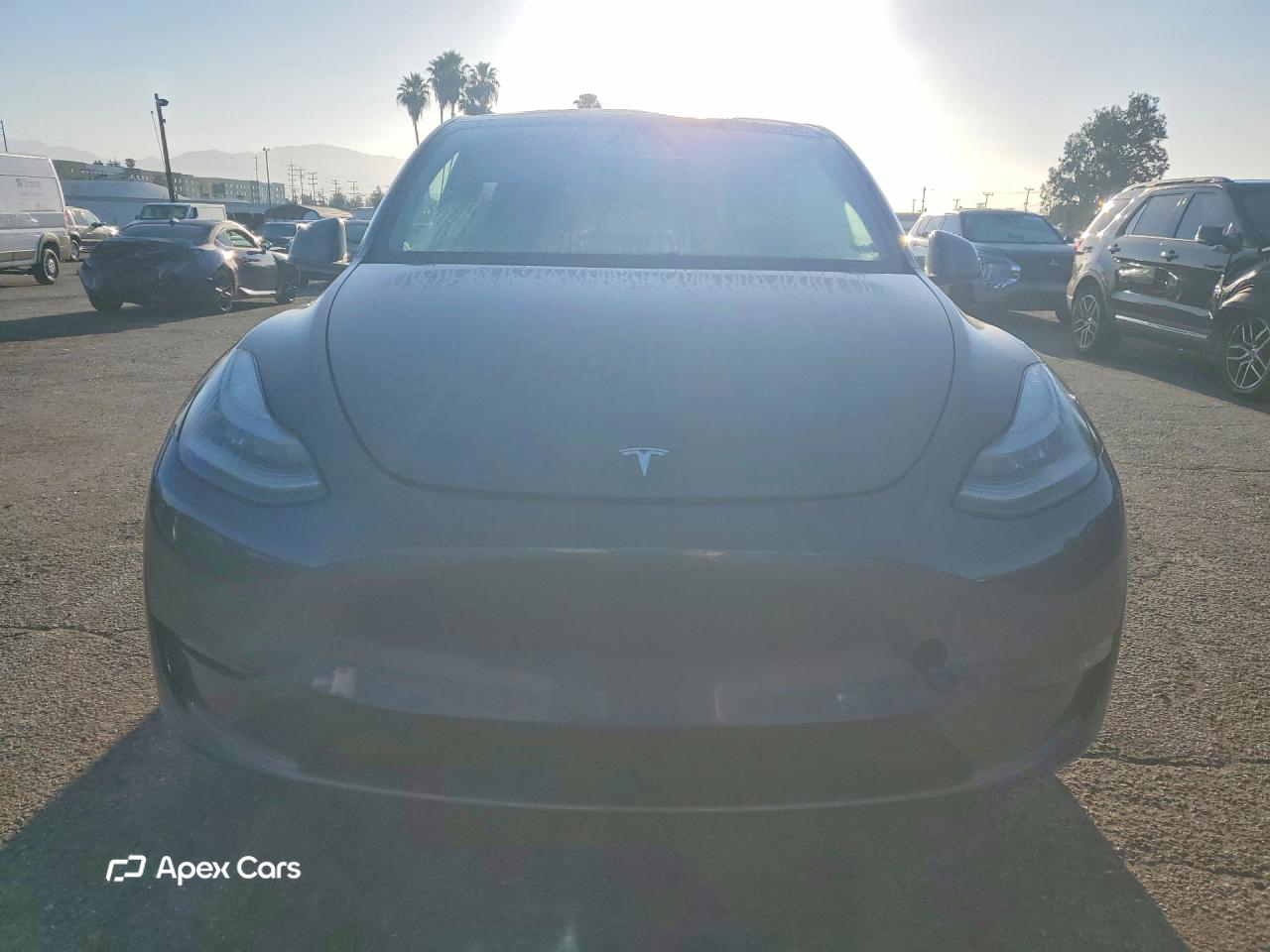 Tesla Model Y 2020