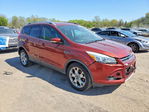 Ford Escape 2014