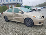 Toyota Corolla 2009