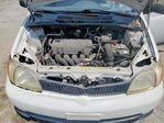 Toyota Echo 2000
