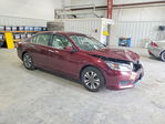 Honda Accord 2013
