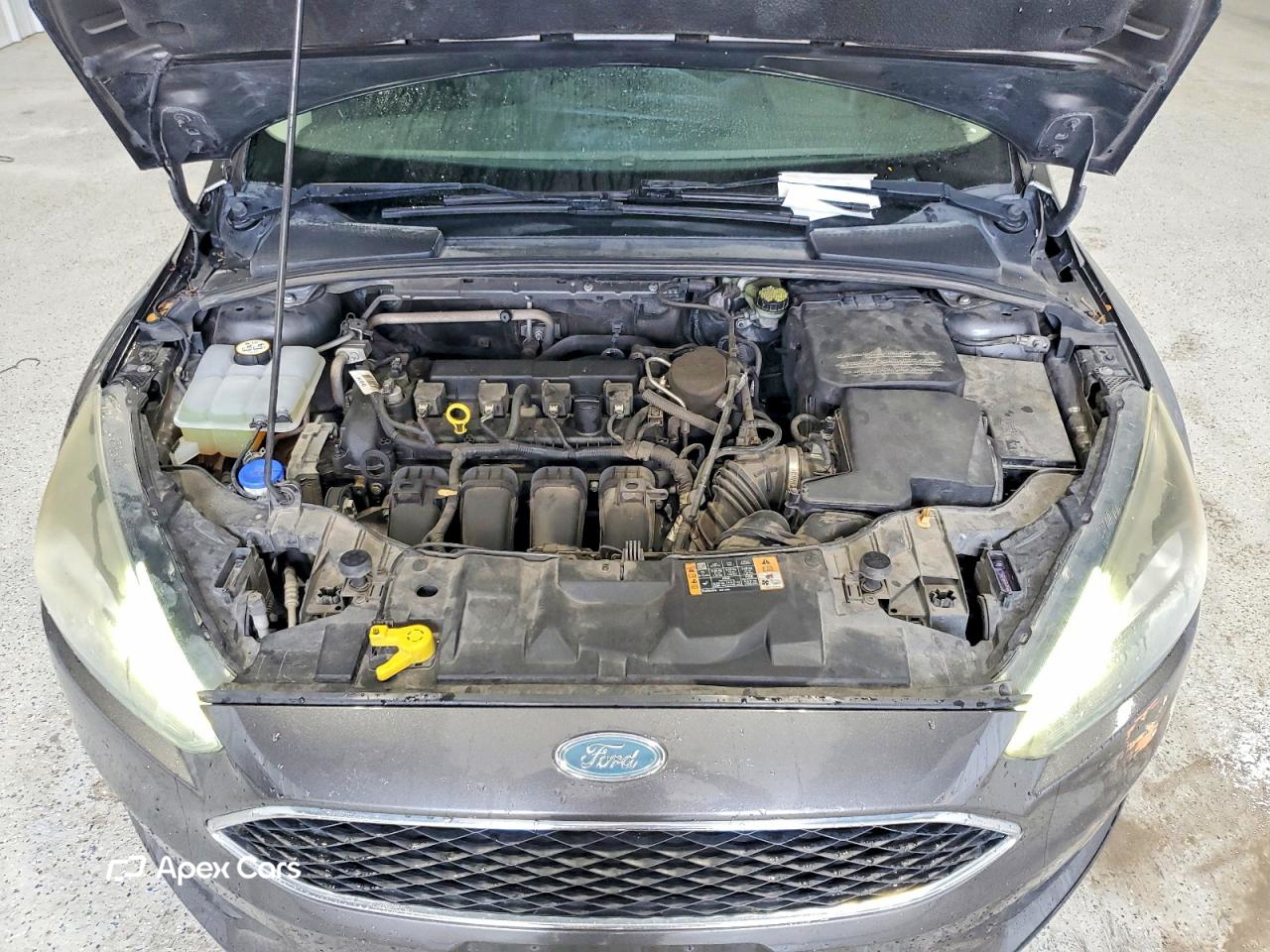 Ford Focus 2015