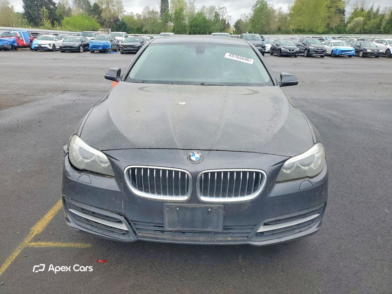 BMW Series 5 2014