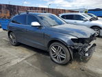 Audi SQ5 2015