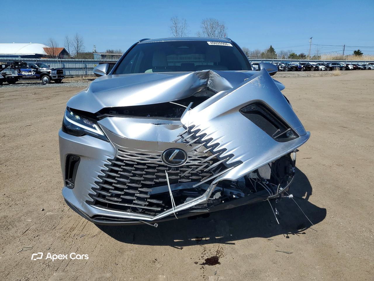 Lexus RX 2024