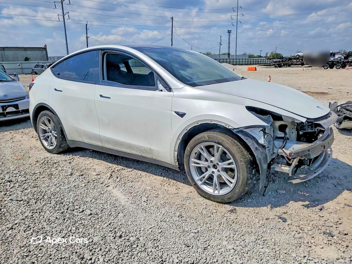 Tesla Model Y 2024