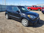 Kia Soul 2012