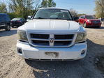 Dodge Dakota 2010