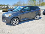 Ford Escape 2016