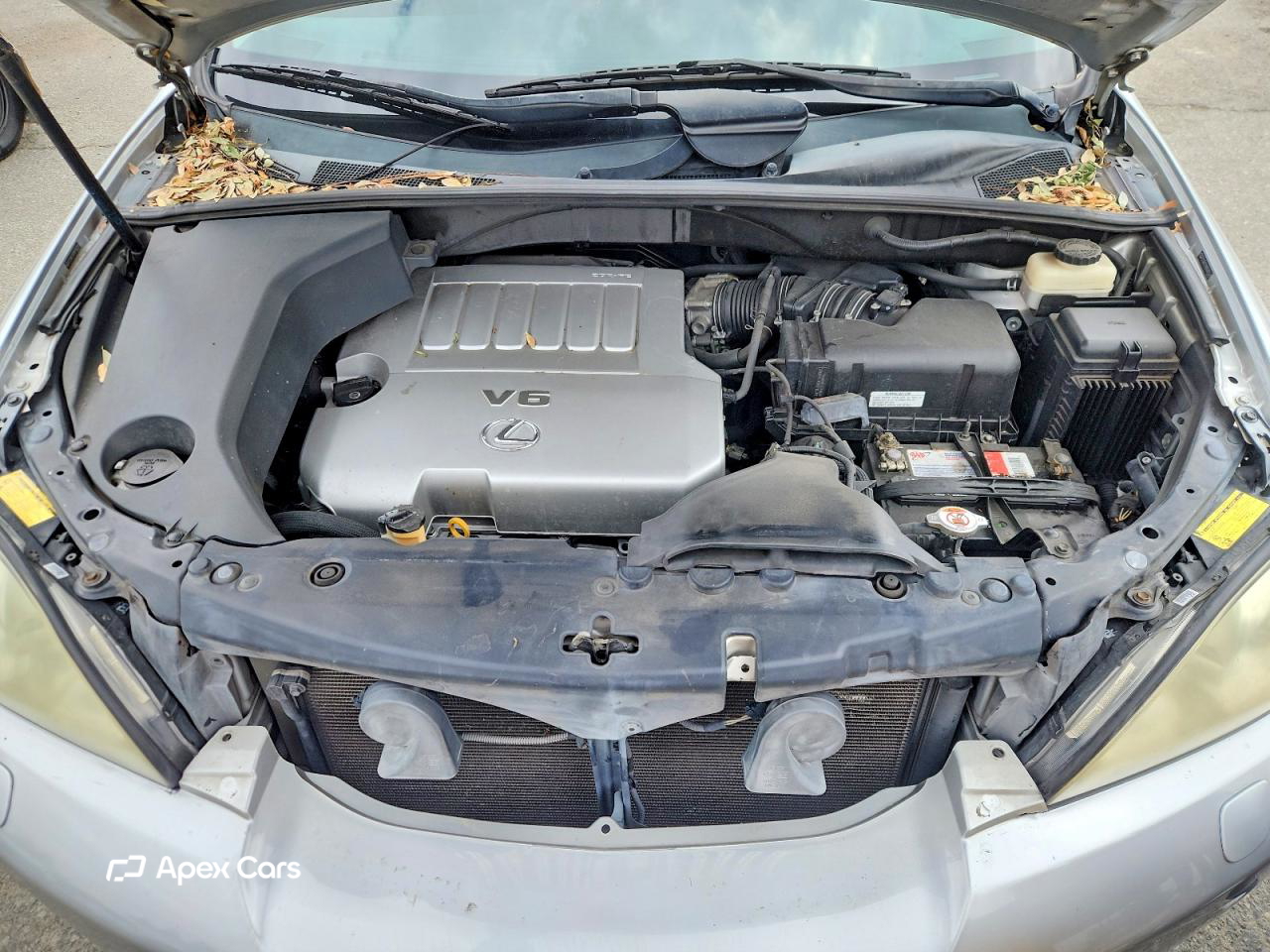 Lexus RX 2009