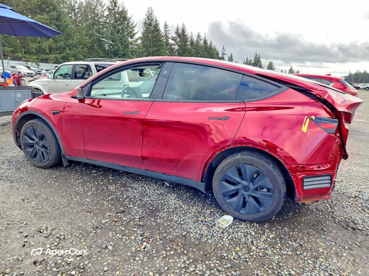 Tesla Model Y 2025