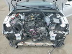 Audi A5 2024