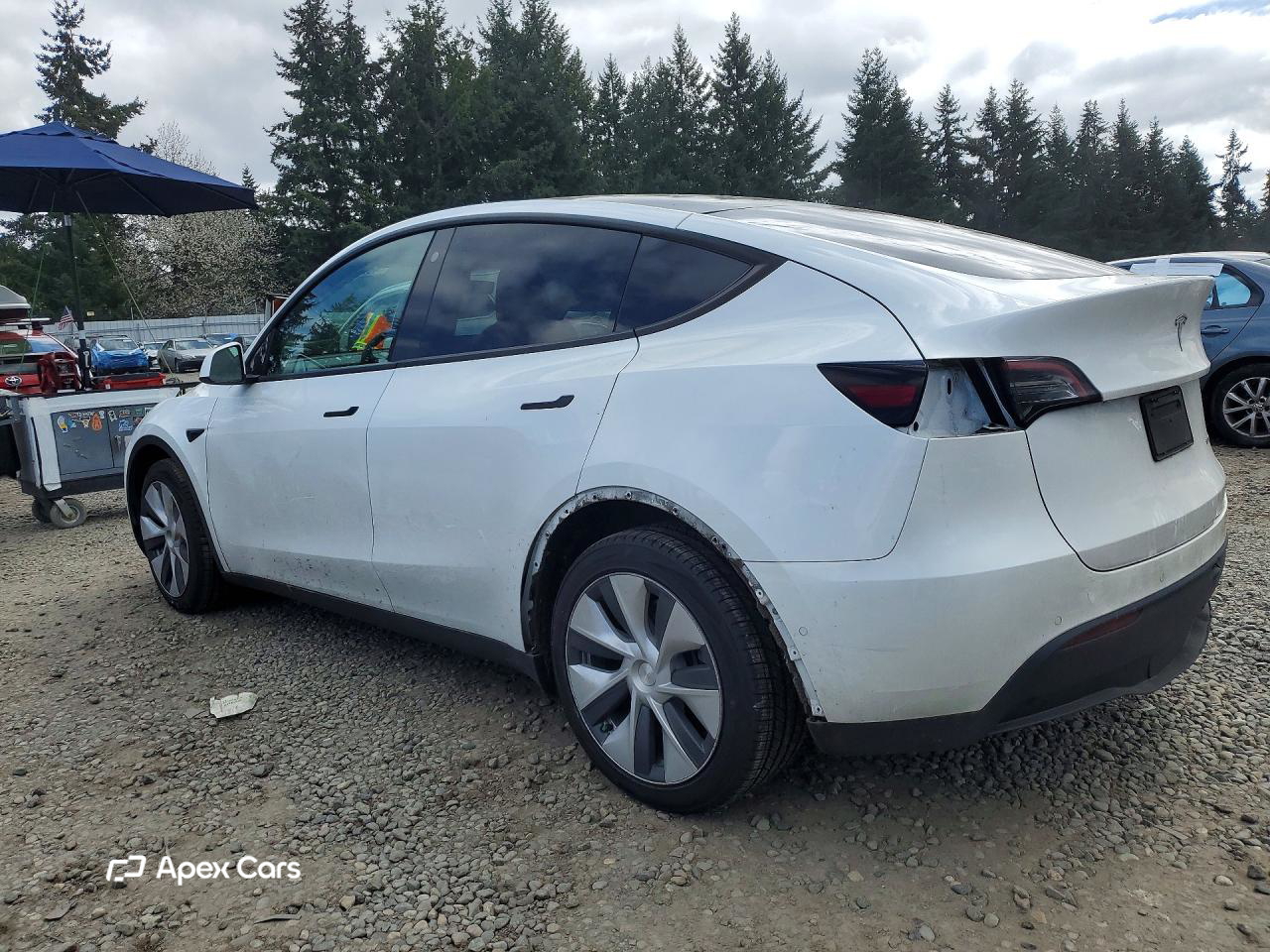 Tesla Model Y 2022