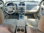 Ford Escape 2010