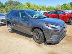 Toyota RAV 4 2024