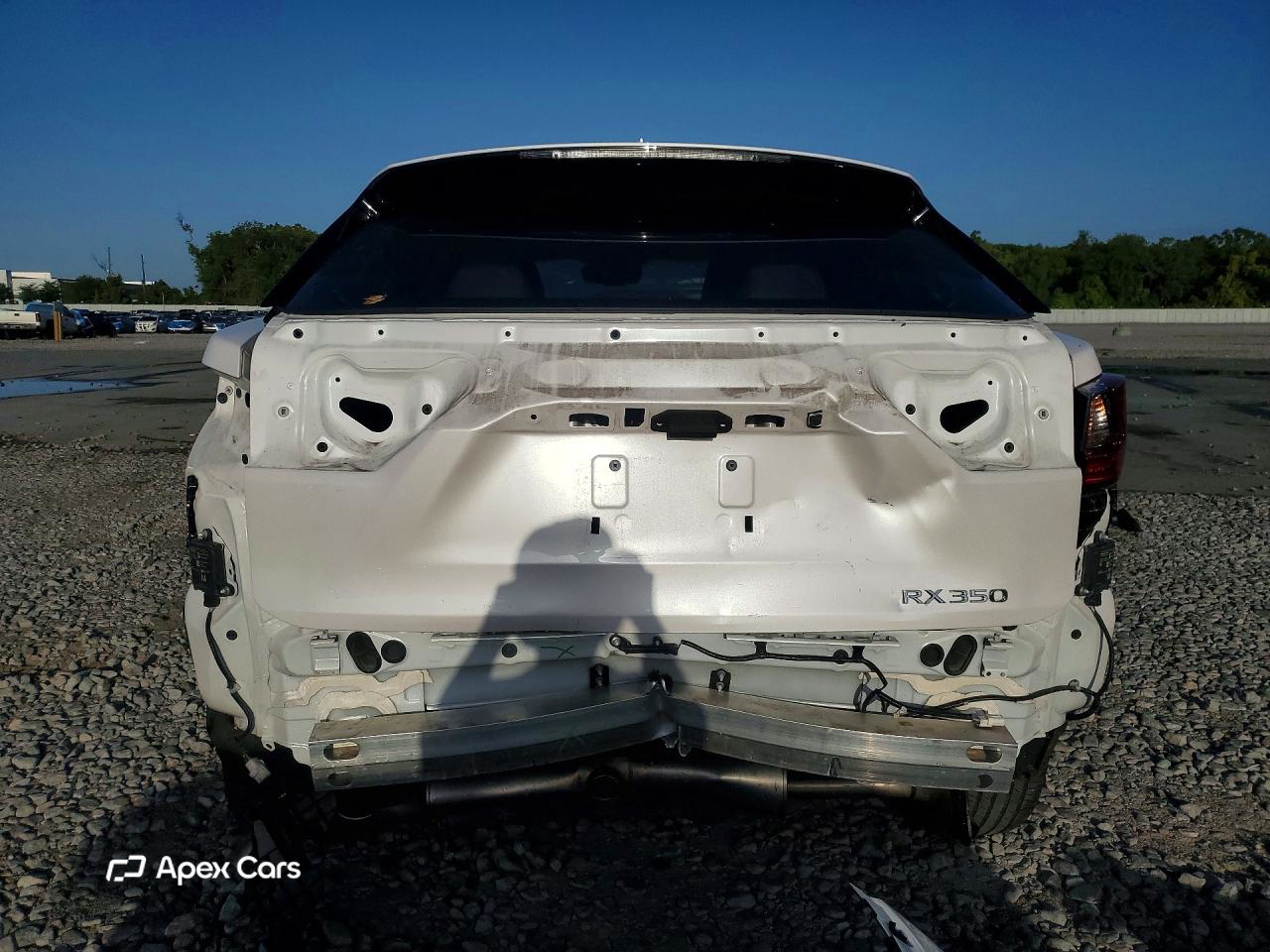 Lexus RX 2020
