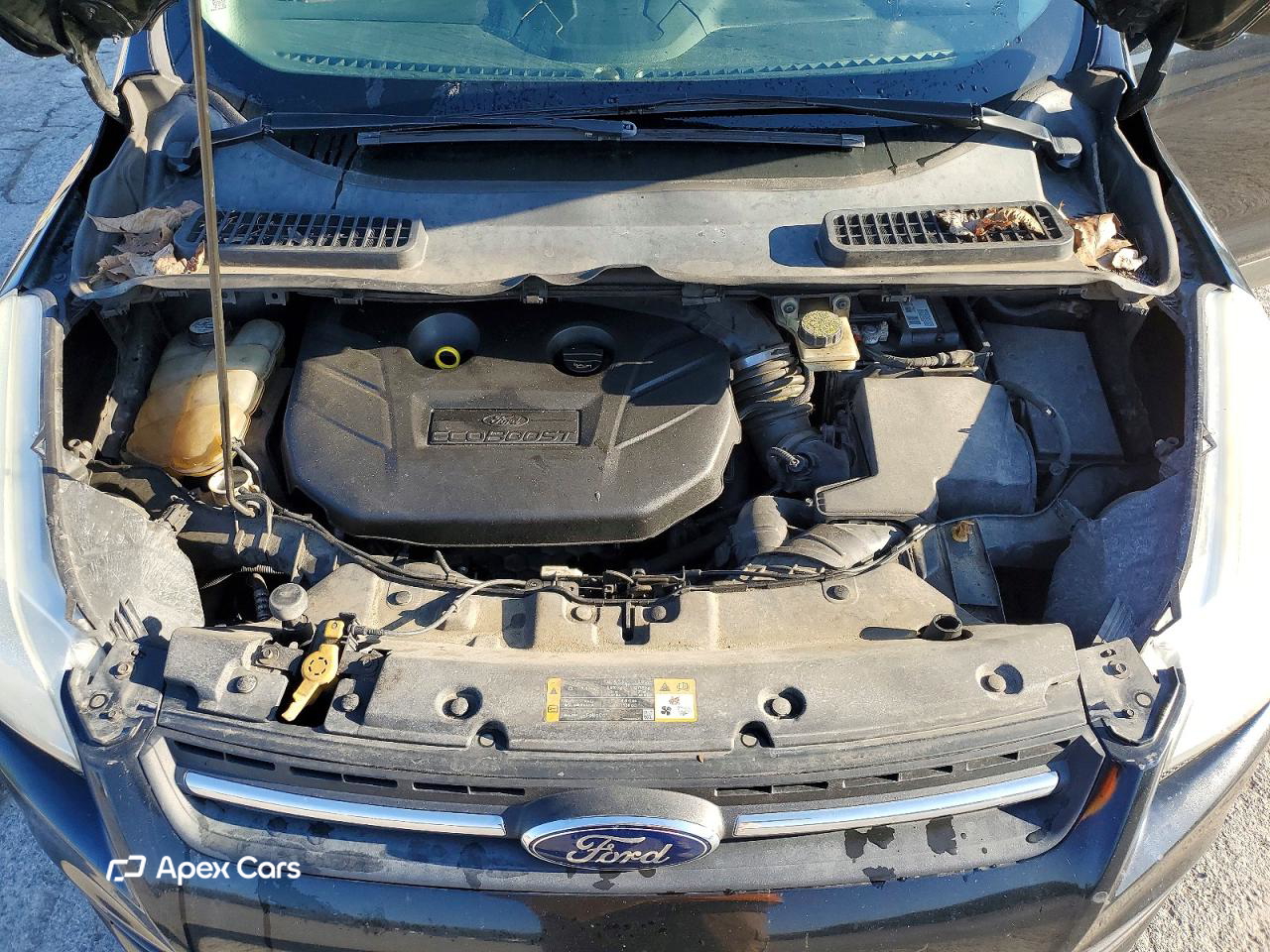 Ford Escape 2014