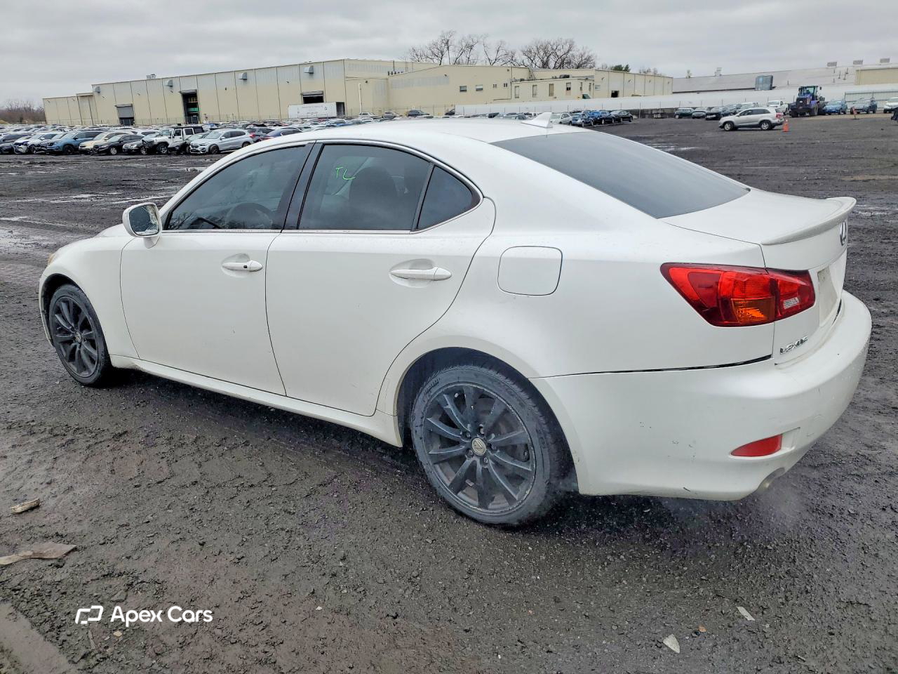 Lexus IS 2007