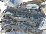 Ford Focus 2001