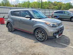 Kia  2017
