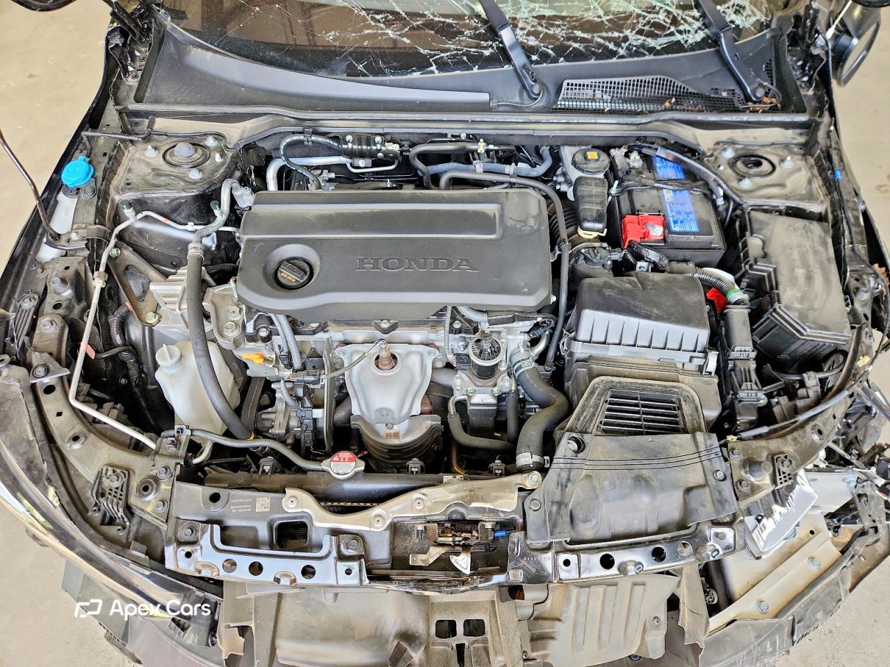 Honda Civic 2025