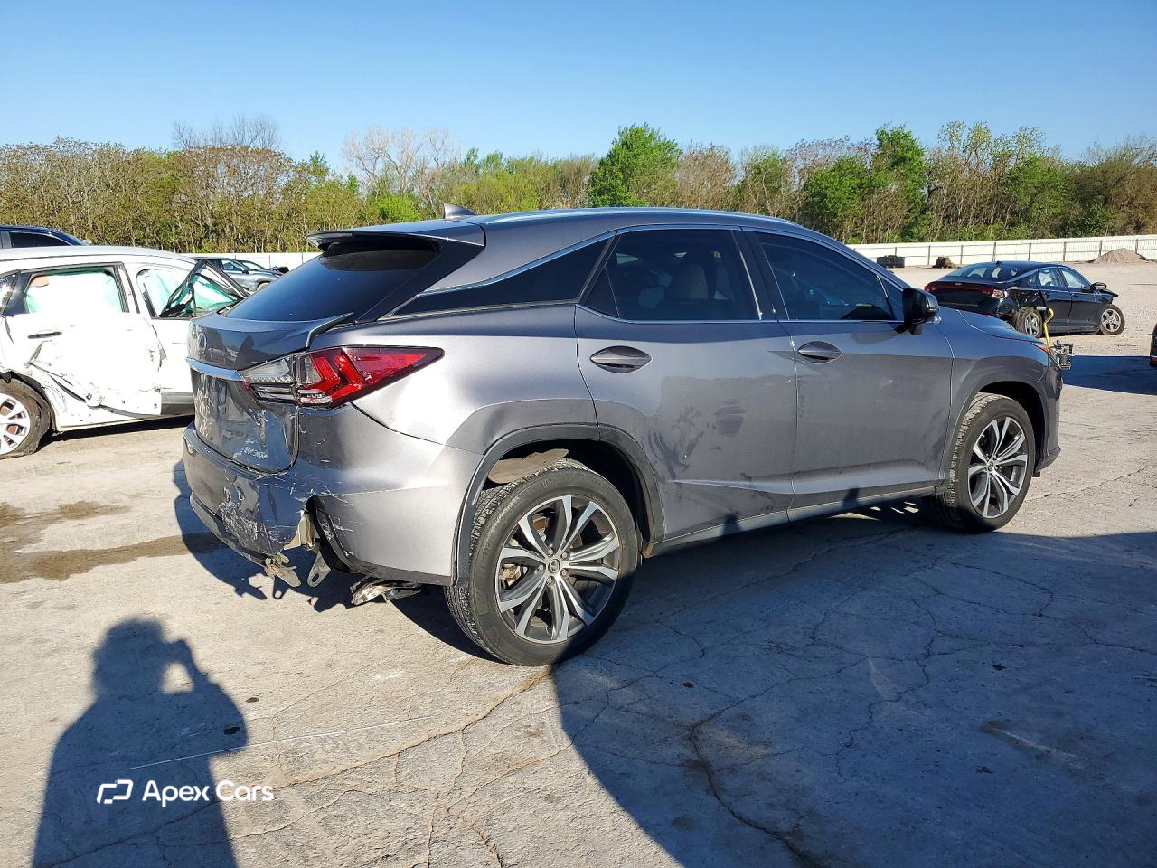 Lexus RX 2019