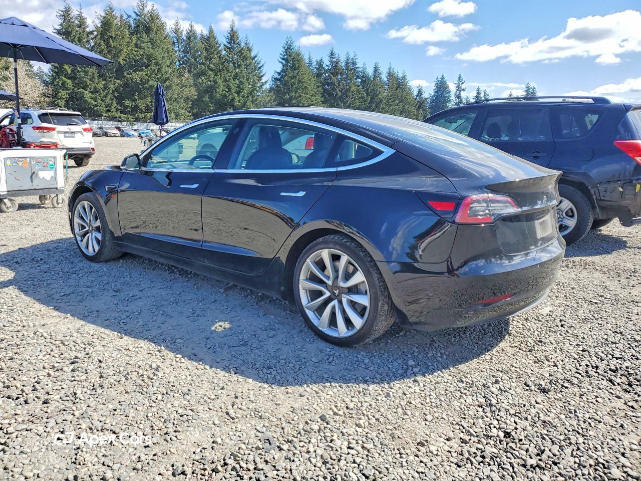 Tesla Model 3 2018