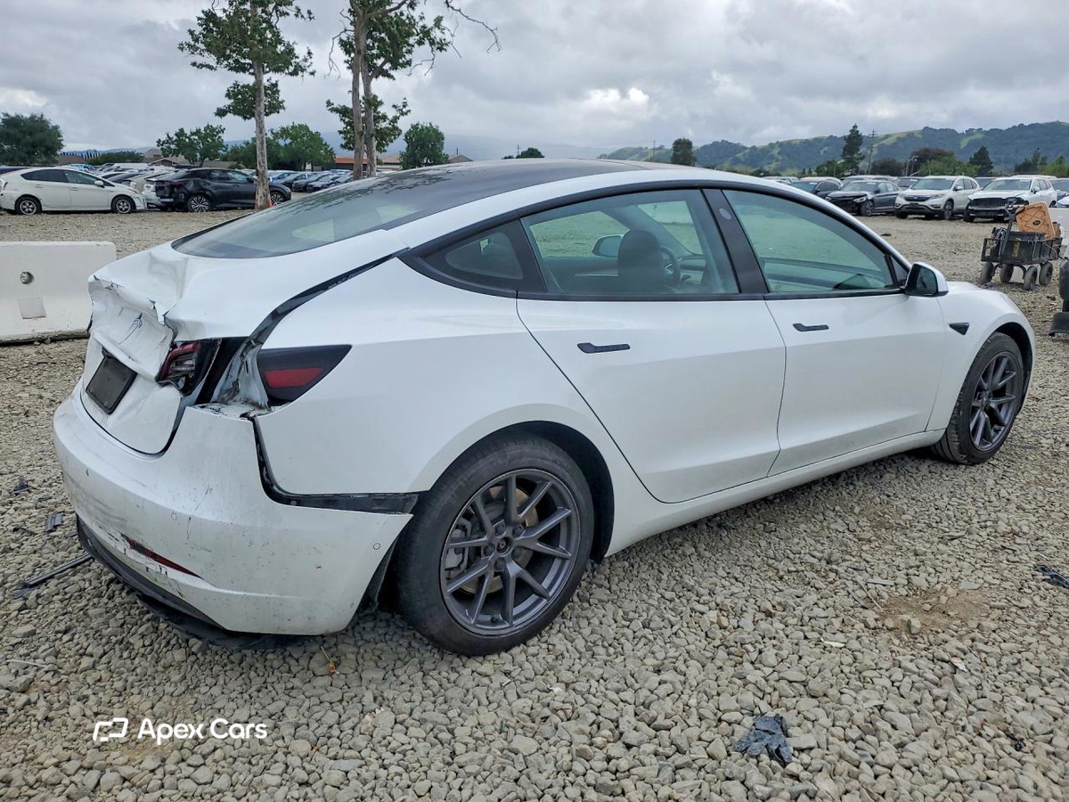 Tesla Model 3 2021