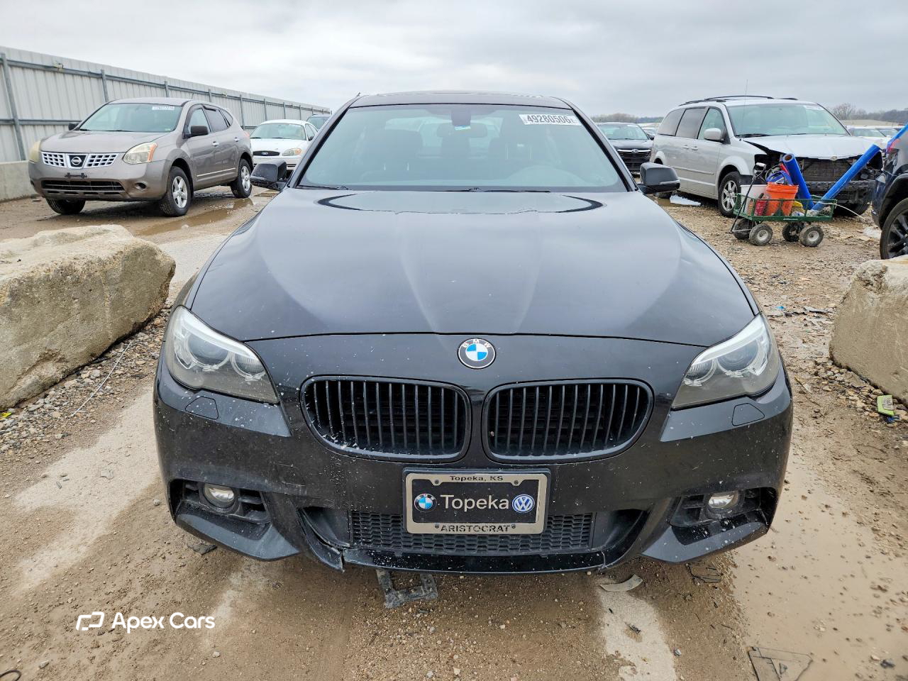 BMW Series 5 2014