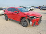 Lexus NX 2024