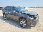 Toyota RAV 4 2025