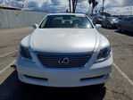 Lexus LS 2008