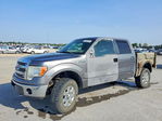 Ford F-150 2013